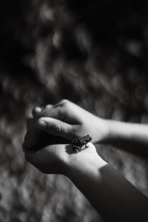 CADEAUTIPS VOOR ELK BUDGET