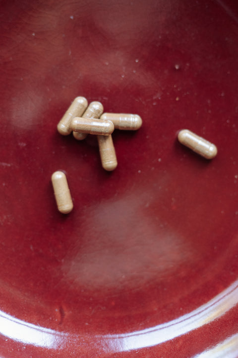 THE CarbX: het supplement voor een gezonde bloedsuikerspiegel