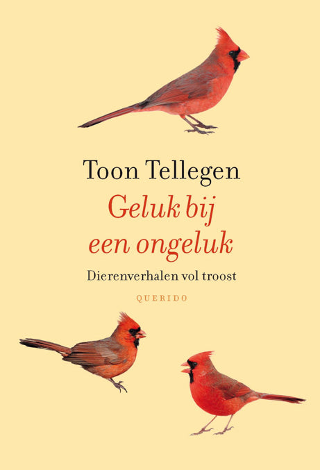 Geluk bij een ongeluk - dierenverhalen vol troost