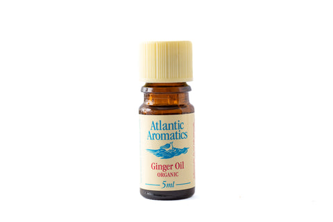 Gember biologische etherische olie - 5ml