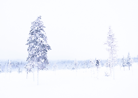 hoop doet sneeuwen: kaartendoosje