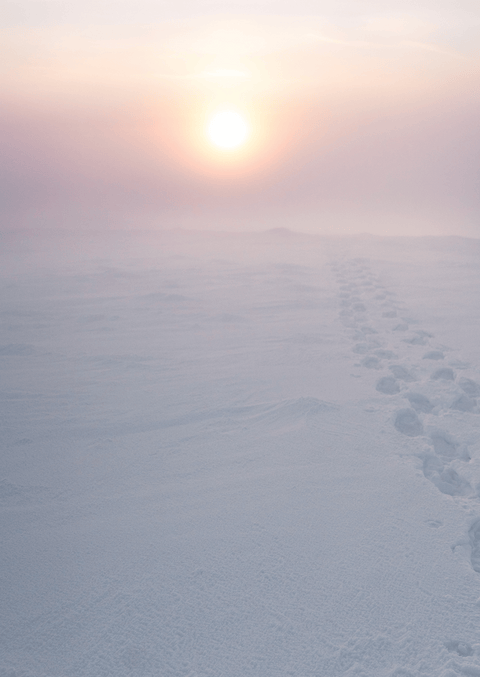 hoop doet sneeuwen: kaartendoosje