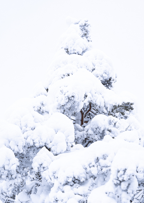 hoop doet sneeuwen: kaartendoosje