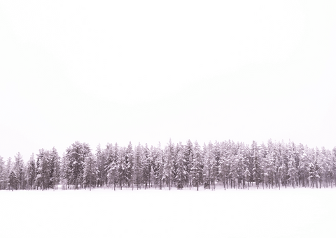 hoop doet sneeuwen: kaartendoosje