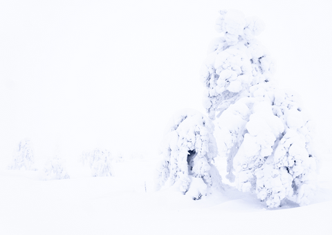 hoop doet sneeuwen: kaartendoosje