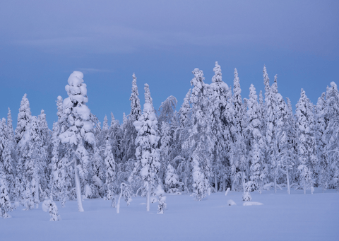 hoop doet sneeuwen: kaartendoosje