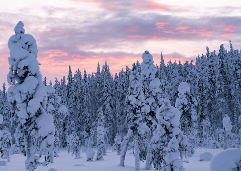 hoop doet sneeuwen: kaartendoosje