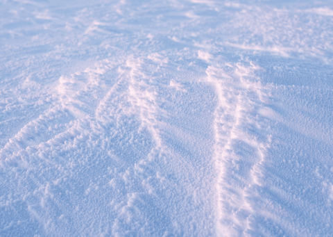 hoop doet sneeuwen: kaartendoosje