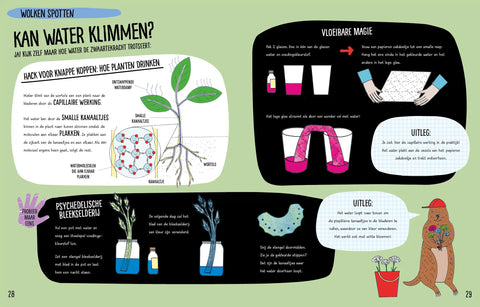 Klimaat en weer