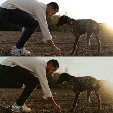 Easy Peasy Presets: studio paus fotofilters