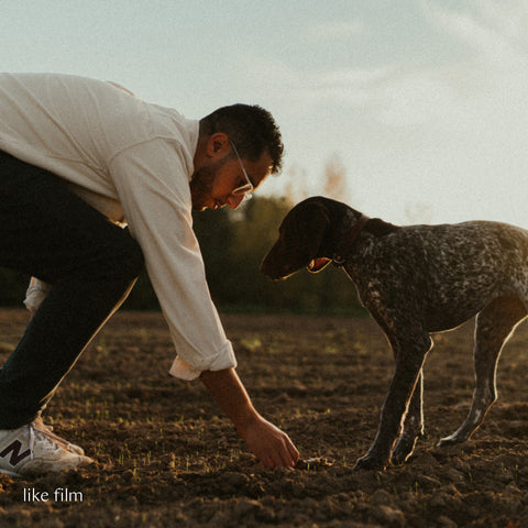 Easy Peasy Presets: studio paus fotofilters