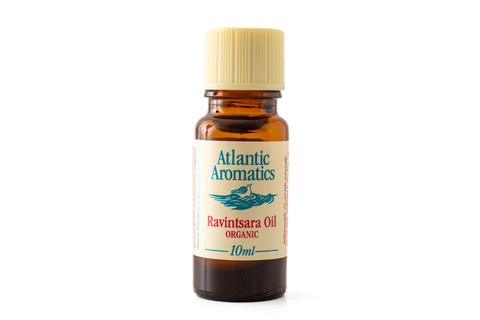 Ravintsara biologische etherische olie - 10ml