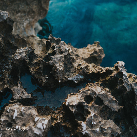 Easy Peasy Presets: studio paus fotofilters