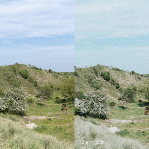 Easy Peasy Presets: studio paus fotofilters