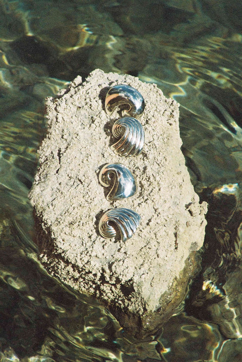 Shell oorringen n°2
