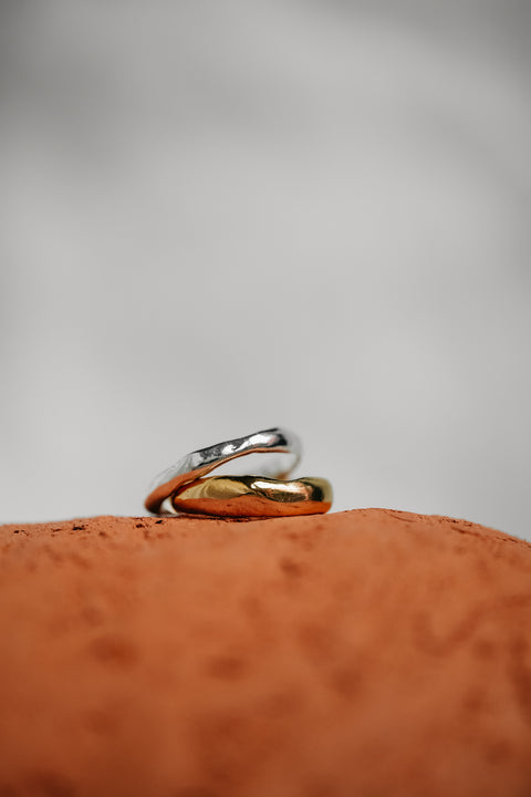 Ring Totem N° 1 (zilver)
