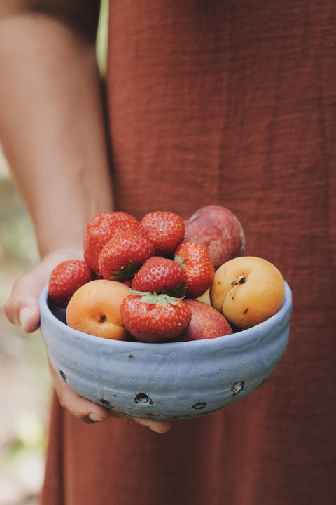 Berry bowl - blue