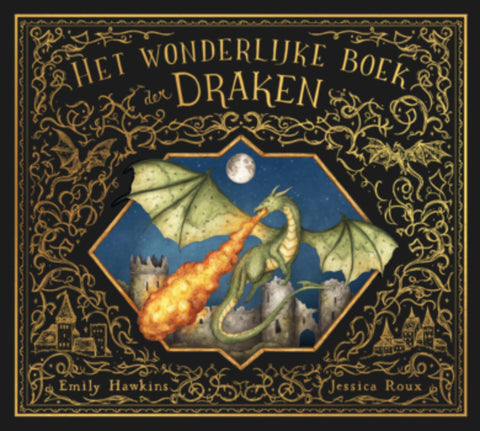 Het wonderlijke boek der draken - vliegende verwondering