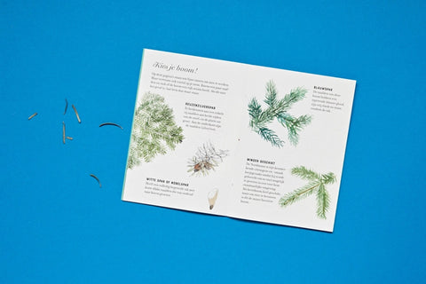 Kakkerlakje: Oh sparrenboom