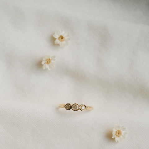 Ring Pomifer (massief 18k goud)