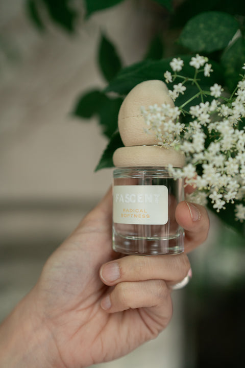 Eau de parfum: RADICAL SOFTNESS