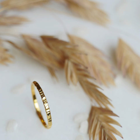 Ring Caelitus (massief 18k goud)
