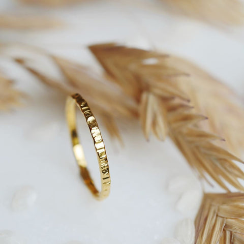Ring Caelitus (massief 18k goud)
