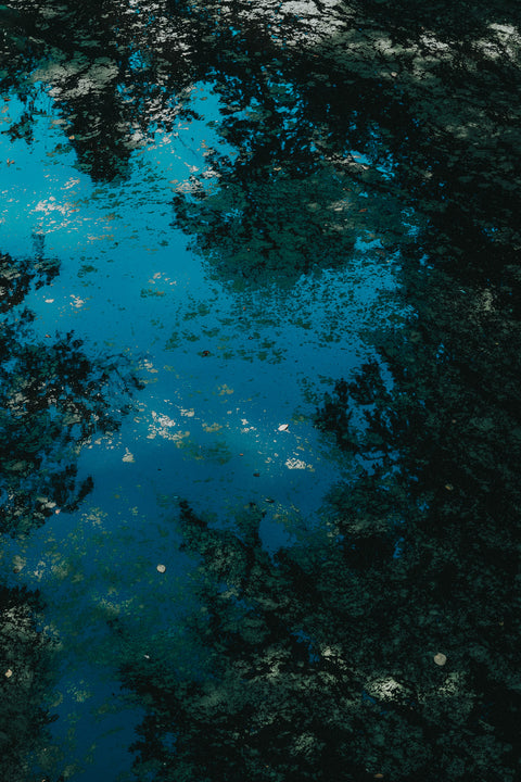 Fine art print: "water color"