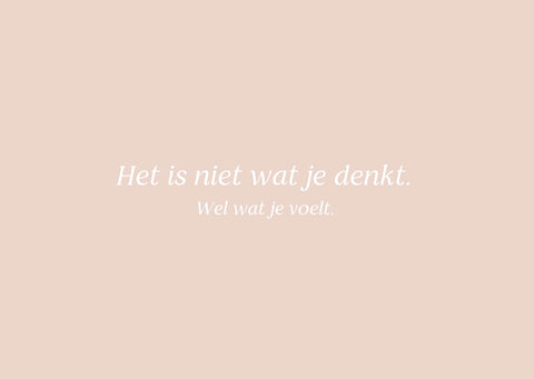 studio paus ( poëzie ) - een doosje tederheid