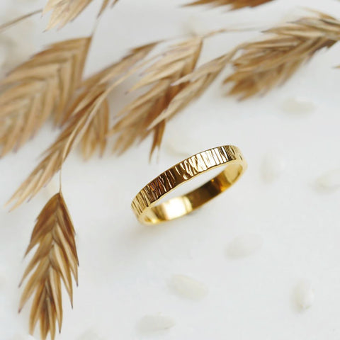 Ring Animus (18k goud) - voor hem