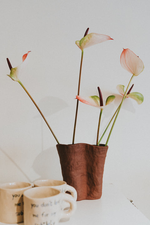 Grote vaas - rode klei (local pick-up only)