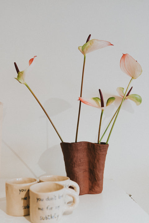 Grote vaas - rode klei (local pick-up only)