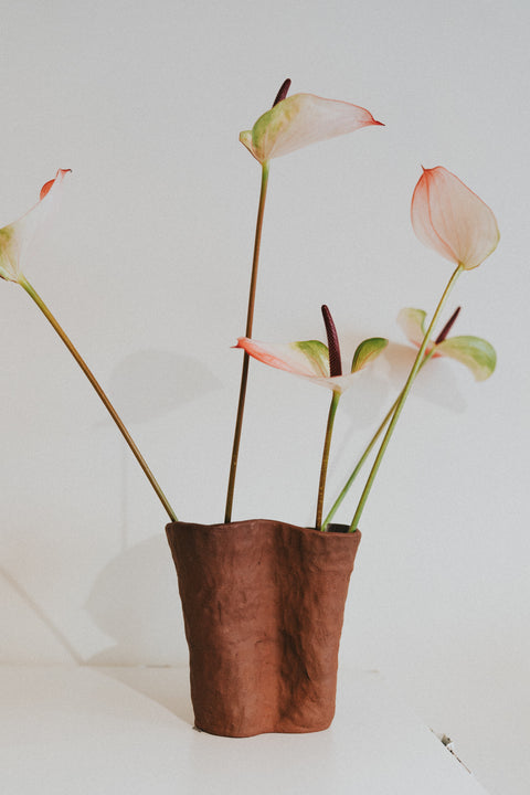 Grote vaas - rode klei (local pick-up only)