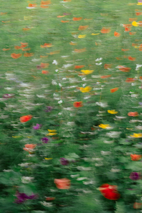 Fine art print: "voorbij de bloem 3" (20x30)