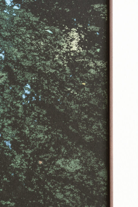 Fine art print: "water color"