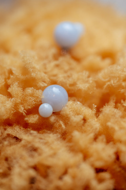 Glyzinia oorstekertjes - lichtblauw