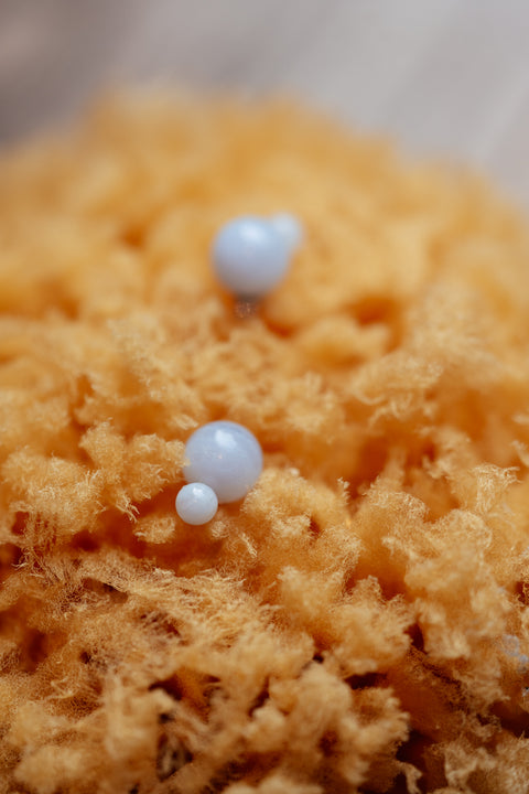 Glyzinia oorstekertjes - lichtblauw