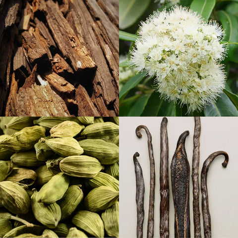 Eau de parfum 'Blackened Santal'