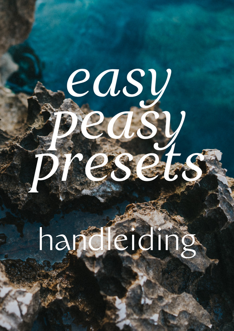 Handleiding