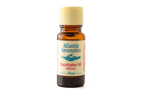 Eucalyptus biologische etherische olie - 10ml