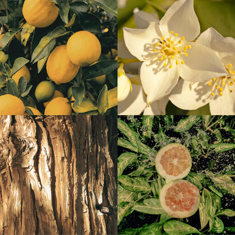 Eau de parfum 'No Vacancy'