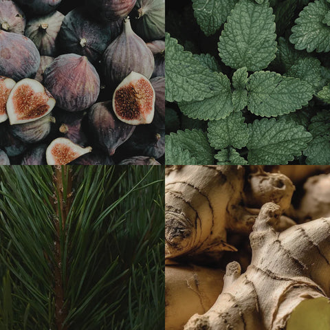 Huisparfum 'The House Cologne' - nodig rust en natuur uit in huis