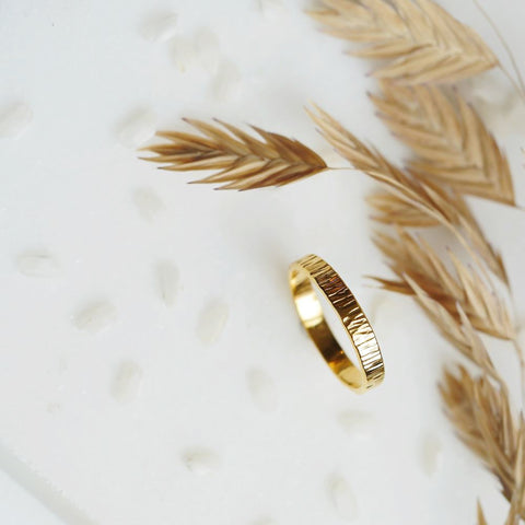 Ring Animus (18k goud) - voor hem