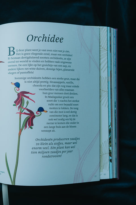 Het dikke boek van onze bijzondere natuur